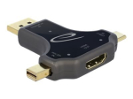 Delock Video Adapter, Must