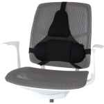 Fellowes ergonoomiline professionaalne selgatoetus polster