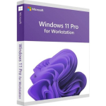 Microsoft Windows 11 Pro for Workstations 1 Lisenss(i)