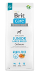 BRIT Care Junior Large Breed Salmon Dry Dog Food - 12 kg