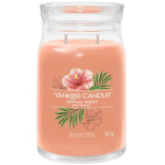 Tropical Breeze Signature Candle 567.0g