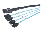 Prokord Serial ATA/SAS kaabel 50cm