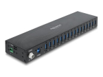 Delock 16-Port USB Hub