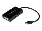 StarTech.com DisplayPort/HDMI/DVI Video Adapter - 15cm