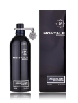 Montale Aoud Lime l&otilde;hnavedu EDP 100 ml