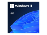 Windows 11 Pro - k&otilde;ik keeled