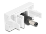 Delock toiteadapter valge