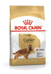 ROYAL CANIN T&auml;iskasvanu Cocker - kuiv koeratoit - 12 kg