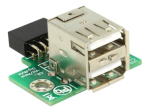 Delock USB PIN sisendkaapeli emasosa 2 x USB 2.0 Type-A emasossa adapter