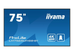 iiyama ProLite LH7565UHSB-B1 75" 4K UHD (2160p)