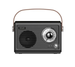 Savio RS-01 Raadio