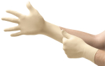 KINDAD MICRO-TOUCH COATED PF PROTS LATEKS XL N80