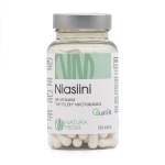 B3 NIKOTIINAMIID KAPSLID 250MG N100