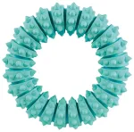M&auml;nguasi koertele : Trixie Denta Fun ring, mint flavour, natural rubber, &oslash; 12 cm