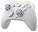 Universal controller for games Bluetooth Flydigi DIREWOLF 2 white