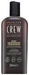 American Crew Daily Moisture Juuksepalsam 250 Ml
