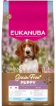 Kutsikate kuivtoit - Eukanuba Puppy & Junior Small & Medium GRAIN FREE OCEAN FISH 12 kg