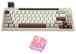 Mehaaniline klaviatuur Epomaker RT65 Flamingo Switch hallikasvalge