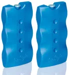 Jahutuselemendid Ice Ole 2x400