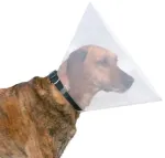 Operatsioonij&auml;rgne krae - Trixie Protective collar, plastic, S&ndash;M: 31&ndash;38 cm/15 cm