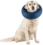 T&auml;ispuhutav kaitsekrae - Trixie Protective collar, inflatable, M&ndash;L: 45&ndash;57 cm/11 cm