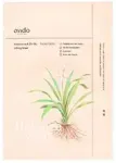 TANG-TANG Adenosine & Zhi Mu Lifting Mask - Smoothing Facial Mask.