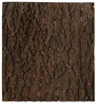 Reljeef terrariumile : Repti Planet Background cork natural 43.5x56x2cm