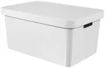 Hoiukast Curver Infinity, 45 l