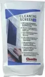 Cleanlike niisked salvr&auml;tikud TFT|LCD 100 tk