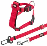 Rihm koos jalutusrihmaga kassidele - Trixie Car harness for cats, 20&ndash;50 cm/15 mm