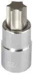 Padrunotsak 1/2 T25