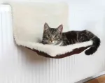 Kassipesapesa - Trixie Radiator Bed, long haired Plush/Suede Look, 45*26*31 cm
