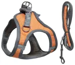 Koerarakmed, L suurus, 56-64cm, oranž