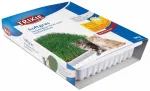 Kassirohi kassipoegadele &ndash; Trixie Bio Cat Grass (bowl), 100 g