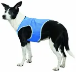 Jahutav vest koertele : Trixie Cooling Vest, PVA, L: 35 cm