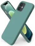 Riff Plāns & Mīksts silikona aizmugures maks ar mīkstu iek&scaron;pusi priek&scaron; Apple iPhone 11 Pro Pine Green