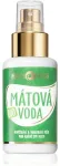 Purity Vision Organic Mint Water 100ml