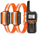 Rojeco PD529 1000m koera dresseerimisrihm 2 rihmaga