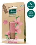 lip Balm - Almond lip balm