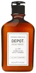 Depot, 100 Hair Cleansing No. 101, Botaaniline kompleks, Juukse&scaron;ampoon, Normaliseeriv, 250 ml