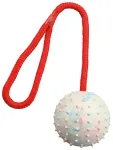 M&auml;nguasi koertele : Trixie Ball on a rope, natural rubber, &oslash; 7|30 cm
