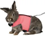 Traksid ja rihm k&uuml;&uuml;likutele - Trixie Rabbit soft harness with leash, nylon, 25&ndash;32 cm, 1.20 m
