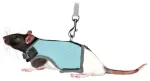 Traksid aedadele - Trixie Soft harness with leash, rats, 12&ndash;18 cm, 1.20 m