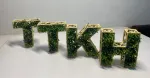 V&otilde;rgustiku T&auml;he T&auml;hed taimedele ja sambla