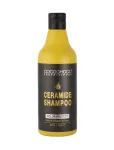 Cocochoco Professional Ceramide Color Protect palsam 500ml