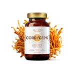 Kordiseps | LOTOS PREMIUM Cordyceps N90