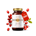 BERBERIIN LOTOS PREMIUM N90