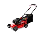 Bensiinimootoriga niiduk RIDER WYS-18 Briggs & Strattoni mootoriga