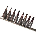 Voolikud seadistatud 1 / 4 "(T-8-T-40) (torx) 8vnt.