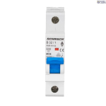 SCHRACK AM618132-- &mdash; Miniature Circuit Breaker AMPARO 6kA, B 32A, 1P